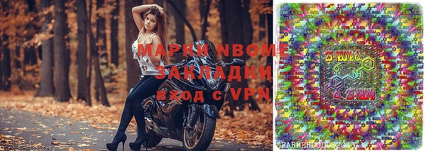 амф Майский