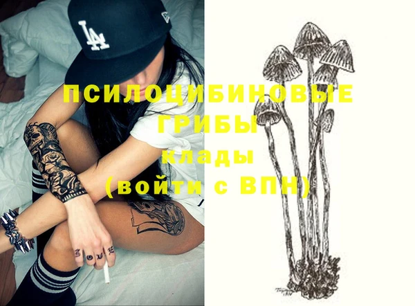 амф Майский